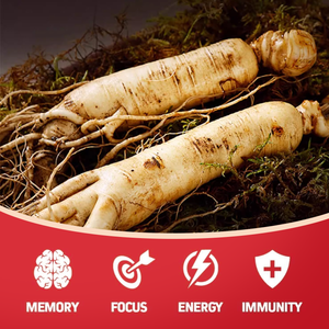 Viên nang chiết xuất nhân sâm đỏ Hàn Quốc LIFEWORTH hàm lượng cao 1500mg - Thực phẩm bổ sung năng lượng - Product Image 2