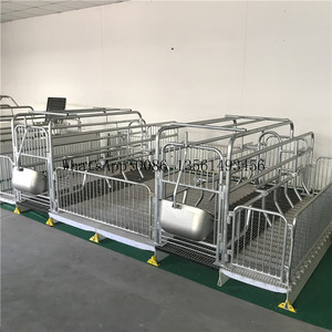Hoàn Thiện Thùng Fatten Bút Lợn Chăn Nuôi Trang Trại Lồng Động Vật - Product Image 4
