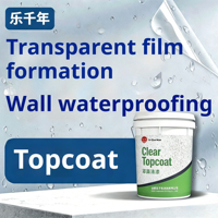 Revêtement transparent à base d'eau, résistant aux intempéries, scellant pour peinture sur pierre, mur extérieur, haute brillance, anti-jaunissement, durable pour pulvérisation