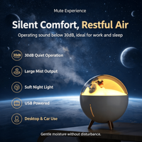 Nouvel Arrivage : Humidificateur pour Animaux de Compagnie en Forme de Capsule Spatiale Mignonne, Grand Volume de Brume, Diffuseur Portable USB Type C pour Bureau, Maison, Voiture, Hôtel