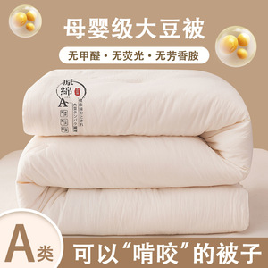 ผ้านวมผ้าฝ้ายสไตล์ญี่ปุ่น ปักลาย 5-6 จิน ใช้ได้ทุกฤดู ซักแล้วพร้อมใช้ - Product Image 5