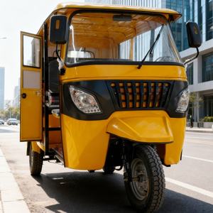 Tricycle à moteur entièrement motorisé à trois roues pour passagers, économique, à essence, fabriqué en Chine, pour la taxe - Product Image 4