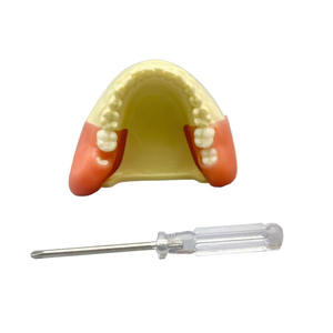 Scienza medica completa protesi dentaria modello resina denti per lo studio e l'insegnamento - Product Image 3