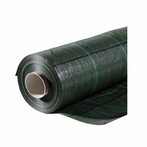 Telo Pacciamante in Polipropilene Verde a Quadri Resistente allo Strappo per Giardini, Lunghezza da 1 a 100 Metri, 65 Pollici - Product Image 1