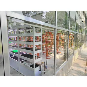 Greenhouse Product Genre Soilless Culture Technology Used In Agricultural Greenhouses