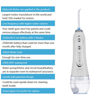 Irrigateur de fil dentaire OEM/ODM flosser d'eau pour les dents et les accolades jet pick sans fil