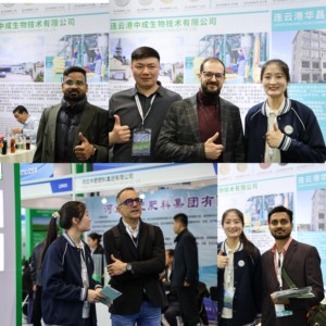 Nhà máy cung cấp thực phẩm CAS 616-91-1 N-Acetyl L-cysteine CAS 616-91-1 NAC N-Acetyl Cysteine - Product Image 6