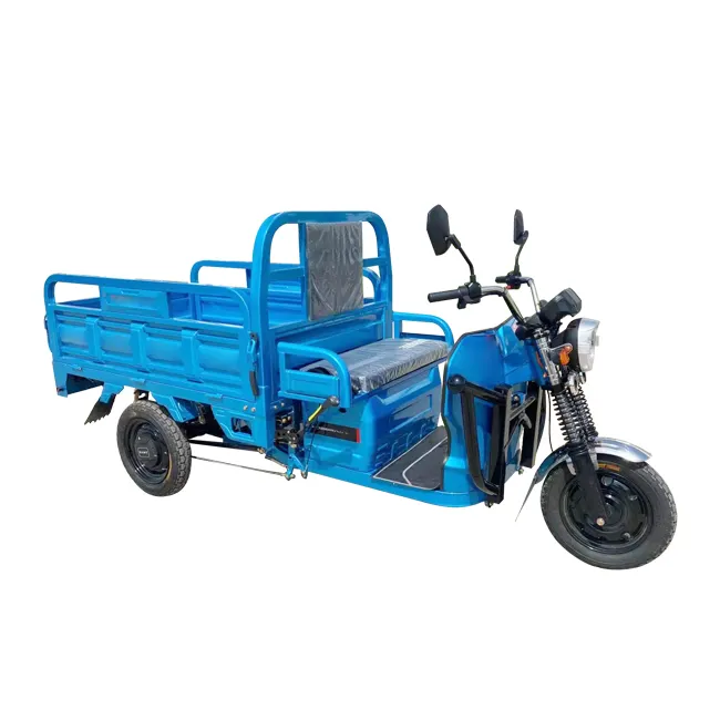 High Credit Tricycle High Speed Electric Tricycle Loading Capacity with Silent Motor