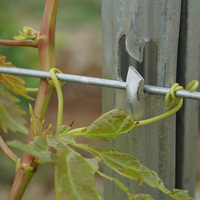 Piquet de support pour vigne en acier galvanisé à chaud pré-percé de 8 pieds, pour usage en ranch et vignoble, compatible avec toutes les configurations de treillis métalliques, facile à assembler en 3D