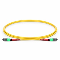 MTP-24 APC (F) ke MTP-24 APC (F), 24 Serat, Single Mode (OS2), Tipe B, Plenum (OFNP), 0.35dB Maks, Panjang Kustom Jumper MTP.