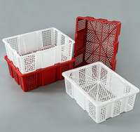 Boîte de transport en plastique pour cailles / Caisses à poulets / Boîte de transport pour pigeons / Équipement de transport de volailles