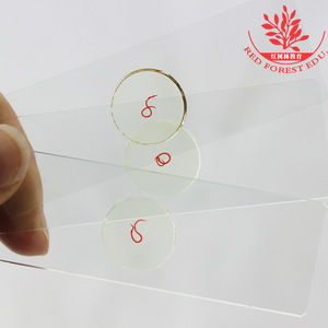 Whipworm biological <b>microscope</b> slides for teaching laboratories: clear structural specimens, brightly stained slides. - Product Image 4