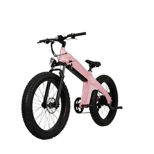 풀 서스펜션 750w 전자 자전거 fiets elektrische fatbike 전기 자전거