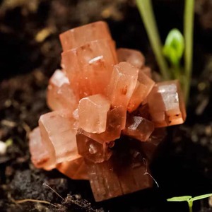 Großhandel Natürliche <span class=keywords><strong>Nephelin</strong></span> & Aragonit Mineralprobe zu verkaufen - Product Image 2
