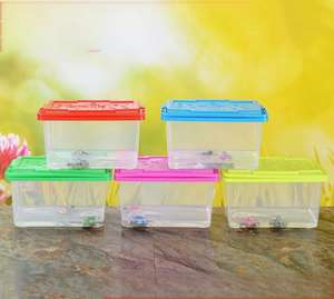 Mini Pecera Transparente de Plástico de Excelente Calidad para Tortugas, Peces Dorados, Cría y Transporte de Mascotas - Product Image 4