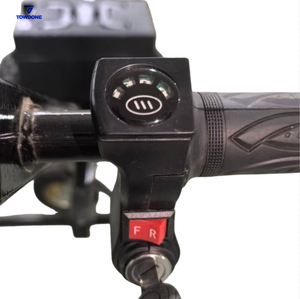 Chariot électrique pour remorque 48V 2800lbs, chariot utilitaire pour remorque, chariot électrique personnalisé pour diverses charges - Product Image 4