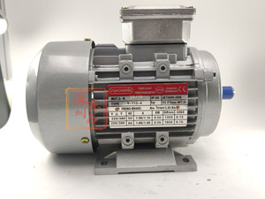 Motor Trifásico ZHONGENG, Motor Horizontal Zhongnan Y-713-4 0.55KW - Product Image 3