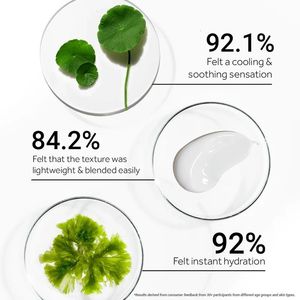 Crème solaire végane à base de plantes LANCE Private Label SPF50 <span class=keywords><strong>PA</strong></span>+++ à toucher sec et résistante à la transpiration pour peaux sensibles et grasses - Product Image 3