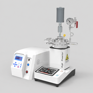 Réacteur de laboratoire de type spécial 316L HT-CSB 12,5 MPa avec disque de <span class=keywords><strong>rupture</strong></span> et manomètre - Product Image 5