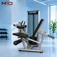 Machine professionnelle réglable en acier pour extensions et curls assis, entraîneur de force pour le bas du corps, idéale pour les salles de sport et clubs de fitness