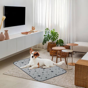 Waschbare Hundeurinmatte, rutschfest, schnell absorbierend, für drinnen und draußen, Auto, Transportbox, Sofa – wiederverwendbar - Product Image 1