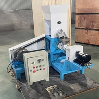Petite extrudeuse à double vis pour la fabrication de snacks, machines à granulés de snacks, extrudeuse alimentaire pour snacks au fromage soufflé