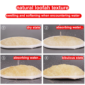 Miếng Bọt Biển Chà Xơ Mướp Tắm Bồn Tắm Tự Nhiên Tự Nhiên Có Thể Phân Hủy Bán Buôn Tùy Chỉnh Miếng Bọt Biển Chà Rửa Bát Đĩa Miếng Bọt Biển - Product Image 6