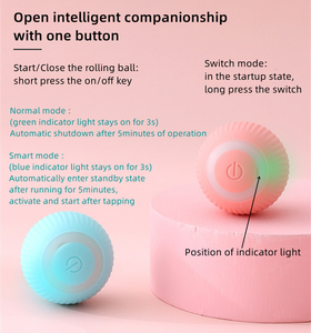 Giocattoli interattivi per gatti con palline elettriche di alta qualità - Product Image 5