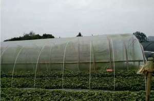 Tige en fibre de verre/GRP flexible époxy composite G10 de haute qualité, tige de poussée en fibre de verre solide - Product Image 4