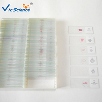Animal Histology Prepared Slides 80pcs Animal Histology Slides Histology Microscope Slides