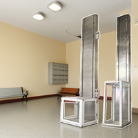 Mini ascenseur hydraulique à vendre Ascenseur de luxe pour passagers d'hôtel sans arbre