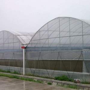 Película de polietileno de alta calidad, estructura Simple y económica, <span class=keywords><strong>casa</strong></span> verde - Product Image 2