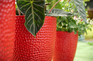 Maceta de Cerámica con Despacho de Aduanas, Libre de Plomo, Transpirable, para Suministro Global - Product Image 5