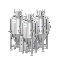 Cuve de Fermentation de Bière en Acier Inoxydable 304 de 300L avec Fond Conique