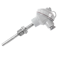 Hank High Precision 0.5%FS Accuracy Stainless Steel Probe K Type Thermocouple PT100 IP55 Waterproof RTD Junction Temperature