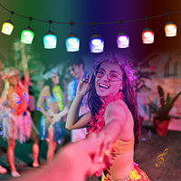 Tuya Wifi Smart Music Sync Diy – guirlande lumineuse à commande segmentée adressable individuellement, lampes de fête d'extérieur pour fête