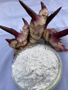 Polvo de arrowroot 100% natural y orgánico de Vietnam - Product Image 2