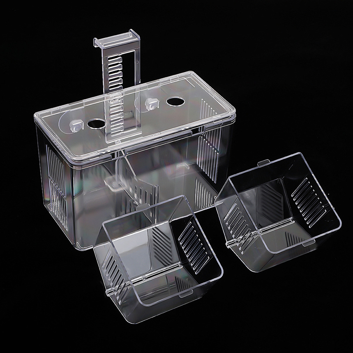 breeding box for molly fish Fluval Hang On Large bearing fish and fry Bottom compartment safely collects and protects falling fry Ideal as a Betta enclosure Can also be used as a safe house for wounded or aggressive fish Marina 3 in 1 Floating Breeding Trap Aquarium Fish Breeding Box,Acrylic Aquarium Breeding