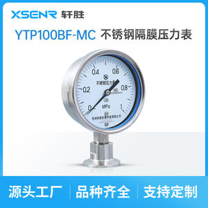 Manómetro de Diafragma de Acero Inoxidable Suzhou XuanSheng, 100 mm, Precisión 1.6, YTP100BF MC - Product Image 4