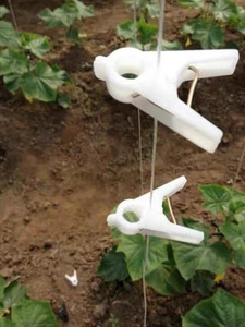 Attaches de jardinage pour plantes : clips de soutien pour tomates, supports/connections pour plantes, lianes, treillis et cages végétales - Product Image 2