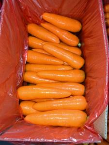 Preis für frische Karotten in China Orange White <span class=keywords><strong>Carrots</strong></span> Vegetables Importeur Chinese 2025 New Crop Carrot - Product Image 5