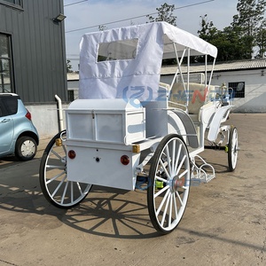 Voiture de tourisme électrique de luxe à quatre roues, simple et blanche, directement de l'usine - Product Image 5