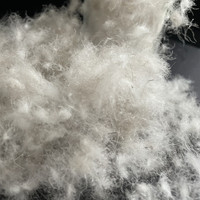 Veste matelassée à col boutonné en duvet de canard gris lavé pour homme Canada Goose, 90% duvet de canard, puissance de rembourrage 700