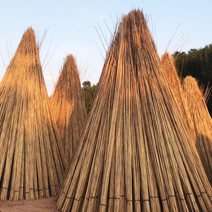 <span class=keywords><strong>2m</strong></span> 18-20mmPiquets de plantes Bâtonnets de <span class=keywords><strong>bambou</strong></span> naturel de jardin pour intérieur et extérieur pour tomates, haricots, plantes <span class=keywords><strong>en</strong></span> <span class=keywords><strong>pot</strong></span> - Product Image 1