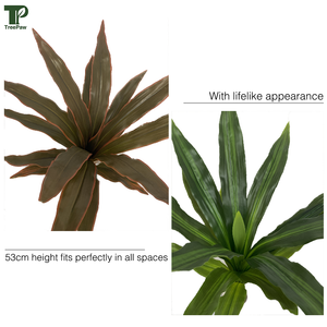 Arbre artificiel moderne Dracaena Fragrans pour l'intérieur Plantes d'intérieur en faux plastique Arbustes <span class=keywords><strong>dans</strong></span> des pots élégants pour la décoration de jardin - Product Image 4