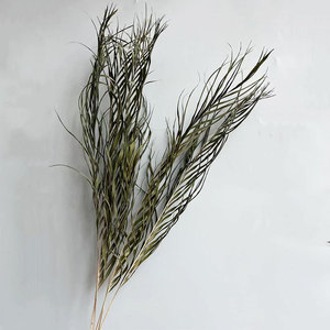 ดอกไม้จริงสำหรับตกแต่งงานแต่งงานใบไม้ต้นปาล์มอาเนก้าแห้ง2026 - Product Image 2