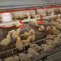 Línea de Agua Automática para Cría de Aves de Corral de Alta Calidad, Nueva, de Plástico y Acero Inoxidable, Marca NORTH&HUSBANDRY, Modelo 1 de 50 Pulgadas