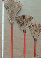 Plumeau en Plumes d'Autruche Teintes sur Mesure, Outil de Nettoyage Doux et Coloré pour Voiture, Chambre, Bureau, Table