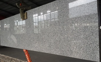 Carreaux en granit gris chinois poli G603 en pierre naturelle pour salle de bain et cuisine, durables et résistants à l'eau