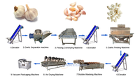 Commerciële professionele roestvrijstalen knoflookverwerkingslijn apparatuur knoflook schilmachine productielijn motorlager